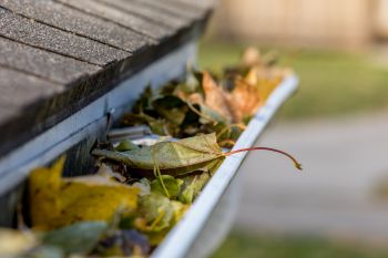 Gutter Cleaning in Bethel, CT by Clara Cleaning Services, LLC