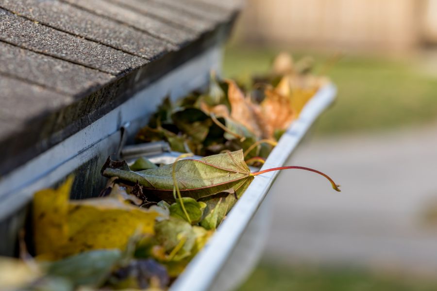 Gutter Cleaning by Clara Cleaning Services, LLC