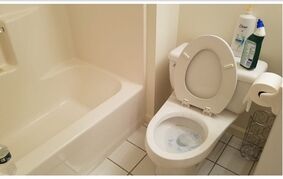 Before & After Deep Cleaning in Ridgefield, CT (2)