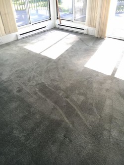 Move in Cleaning New Cannon CT