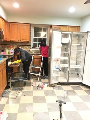 Before & After Deep Cleaning in Redding, CT (1)