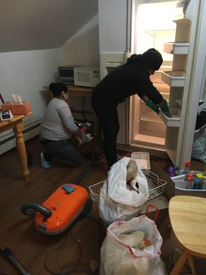 Deep Cleaning in Holmes, NY (1)