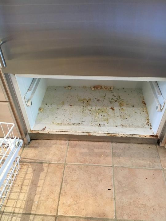 Deep Kitchen Cleaning